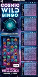 Cosmic Wild Bingo